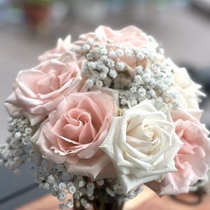 Meet your Posher, Anjeza